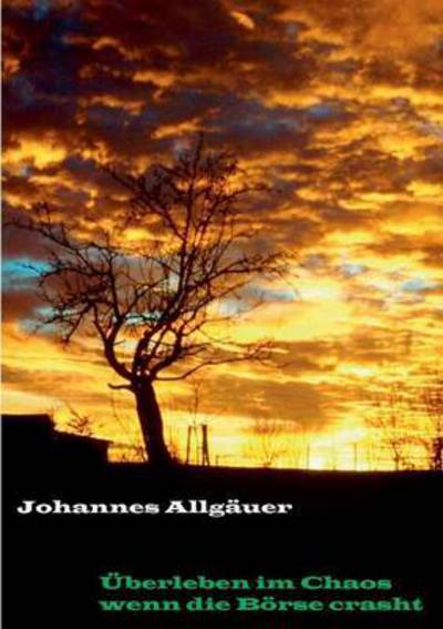 Cover for Johannes Allgauer · Uberleben Im Chaos Wenn Die Borse Crasht (Paperback Book) (2015)