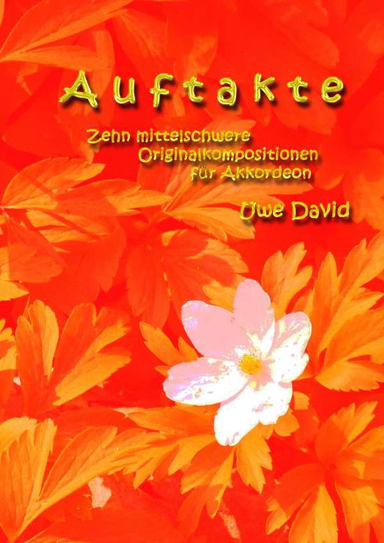 Cover for David · Auftakte (Book)