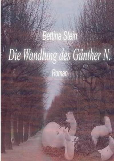 Cover for Stein · Die Wandlung des Günther N. (Bok) (2016)