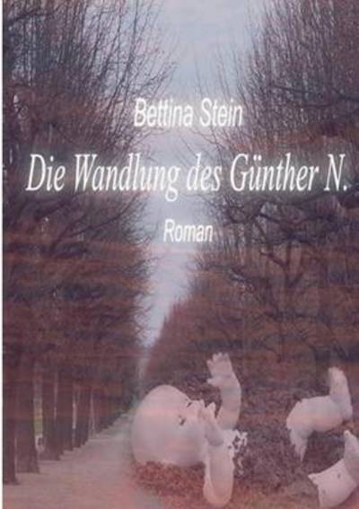 Cover for Stein · Die Wandlung des Günther N. (Bok) (2016)