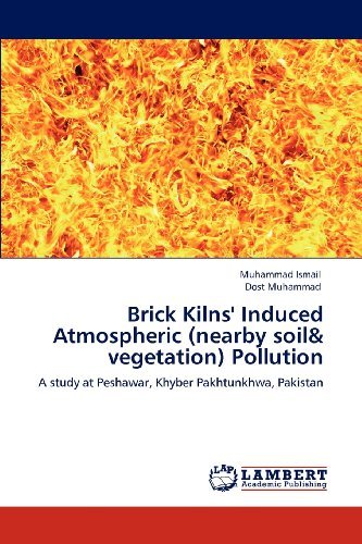Cover for Dost Muhammad · Brick Kilns' Induced Atmospheric (Nearby Soil&amp; Vegetation) Pollution: a Study at Peshawar, Khyber Pakhtunkhwa, Pakistan (Taschenbuch) (2012)