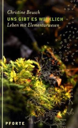 Cover for Christine Beusch · Uns gibt es wirklich (Paperback Book) (2010)