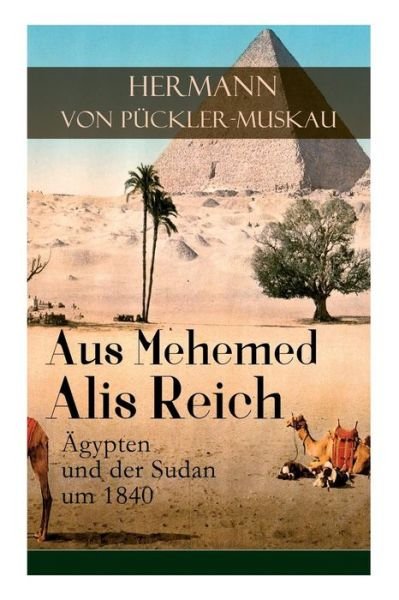 Cover for Hermann Von Puckler-Muskau · Aus Mehemed Alis Reich (Paperback Book) (2017)