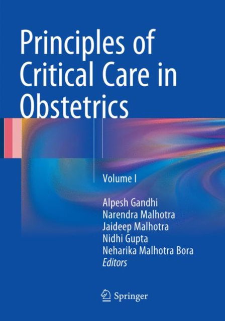 Cover for Principles of Critical Care in Obstetrics: Volume I (Paperback Book) [Softcover reprint of the original 1st ed. 2016 edition] (2018)