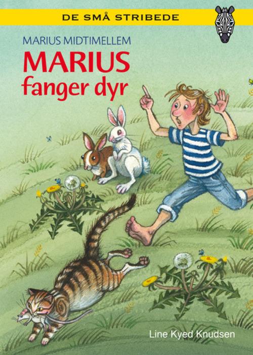 Cover for Line Kyed Knudsen · De små stribede: Kommas læsestart: Marius fanger dyr - niveau 1 (Hardcover Book) [1e uitgave] (2014)