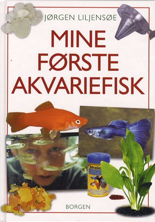 Cover for Jørgen Liljensøe · Mine første akvariefisk (Bound Book) [1st edition] [Indbundet] (2006)