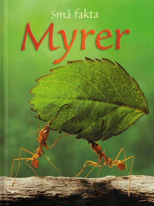 Små fakta: Små fakta: Myrer - Lucy Bowman - Bøger - Flachs - 9788762725171 - 9. august 2016