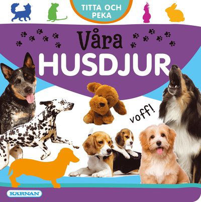 Titta och peka - Våra husdjur - Annette Voigt - Książki - Egmont Publishing AB - 9789157032171 - 2 sierpnia 2021