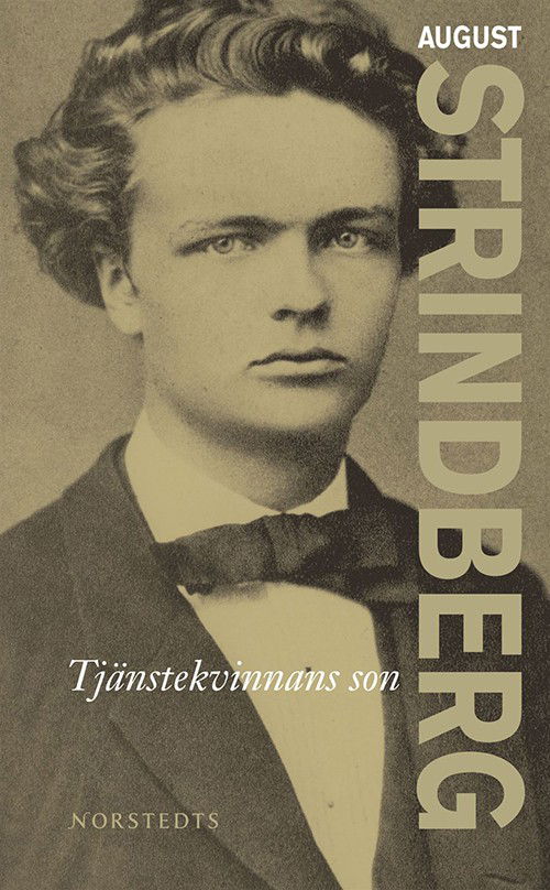 Tjänstekvinnans son - August Strindberg - Books - Norstedts - 9789172639171 - November 13, 2007