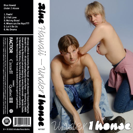 Cover for Blue Hawaii · Under 1 House (LP) (2024)