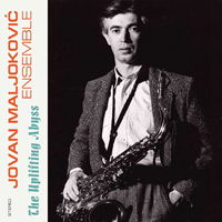 Dawn of the Yugoslavian Prog-rock Era – Unreleased Radio Recordings 1970-1976 - Marin Skrgatic - Musikk - EVERLAND - 0710473185172 - 14. juli 2023