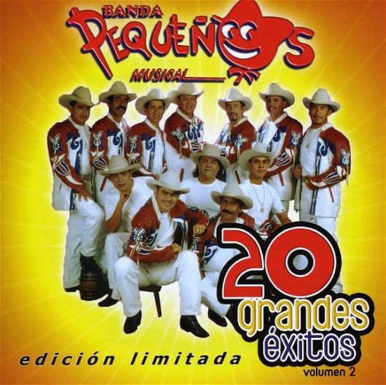 Cover for Banda Pequenos Musical · Vol.2-20 Grandes Exitos (CD)