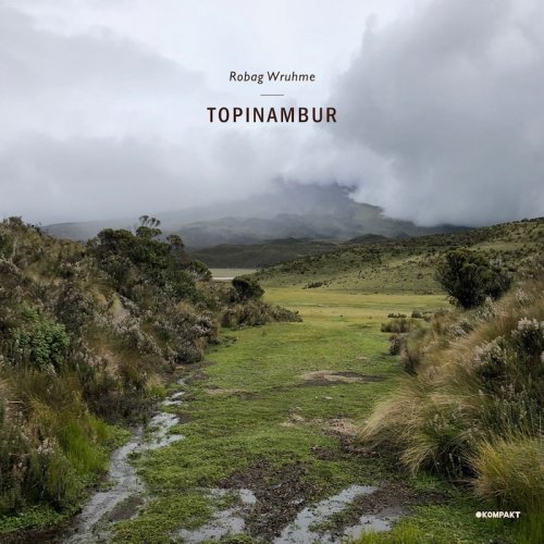Cover for Robag Wruhme · Topinambur (LP) [EP edition] (2019)