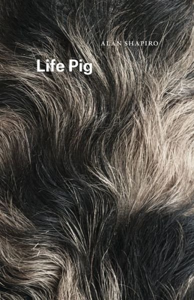 Cover for Alan Shapiro · Life Pig - Phoenix Poets (Paperback Book) (2016)