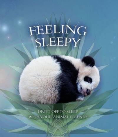 Cover for Andrea Pinnington · Feeling Sleepy Drift Off to Sleep With Your Animal Friends (Board book) (2021)