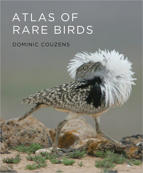 Cover for Dominic Couzens · Atlas of Rare Birds (Inbunden Bok) (2010)