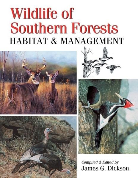 James G Dickson · Wildlife of Southern Forests: Habitat & Management (Paperback Book) (2017)