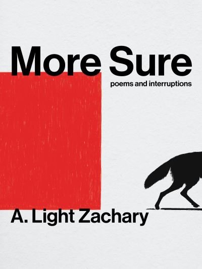 Cover for A. Light Zachary · More Sure (Paperback Bog) (2023)