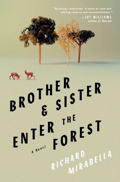 Cover for Richard Mirabella · Brother &amp; Sister Enter the Forest: A Novel (Hardcover Book) (2023)