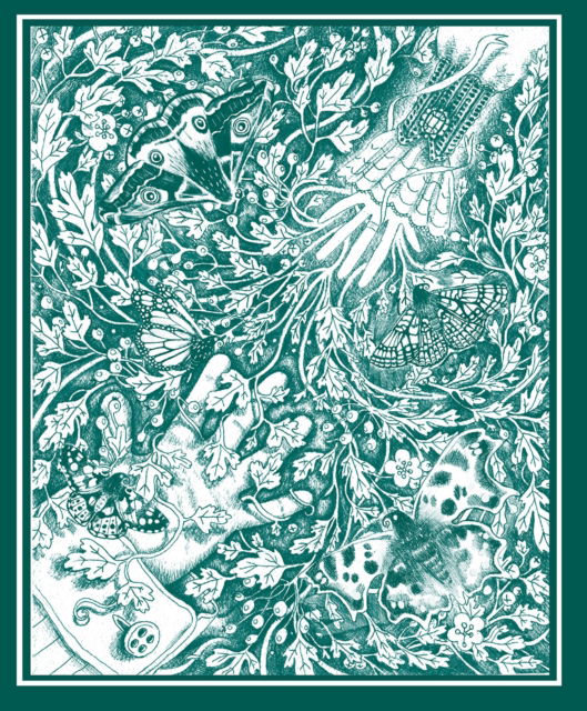 Cover for W. B. Yeats · The Stolen Child (Hardcover Book) (2025)