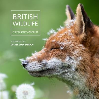 Cover for Will Nicholls · British Wildlife Photography Awards 2023 (Hardcover Book) (2023)