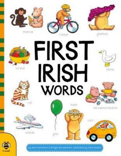 Cover for Sam Hutchinson · First Irish Words - First Word Board Books (Board book) (2017)