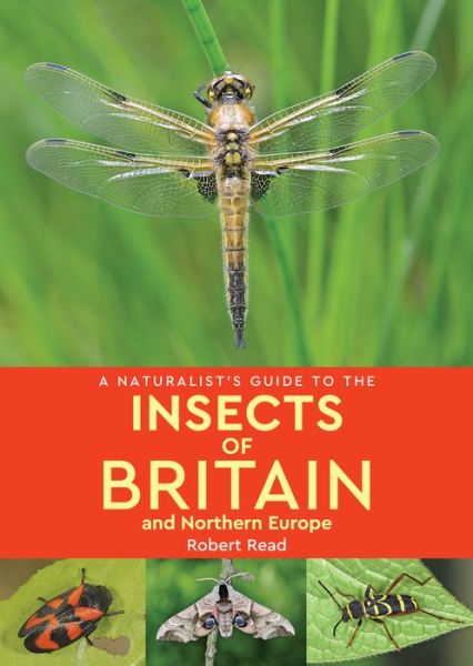 Cover for Robert Read · A Naturalist's Guide to the Insects of Britain and Northern Europe (2nd edition) - Naturalist's Guide (Paperback Book) [2 Revised edition] (2019)