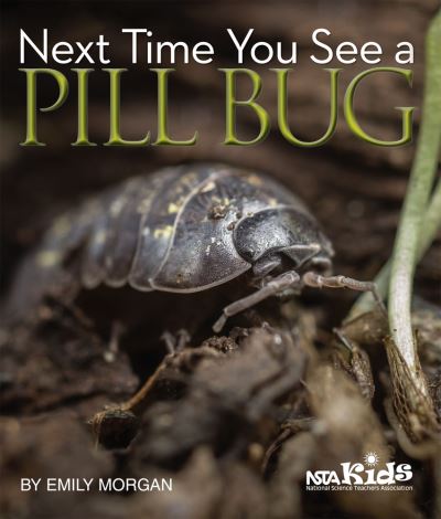 Cover for Emily Morgan · Next Time You See a Pill Bug (Inbunden Bok) (2013)