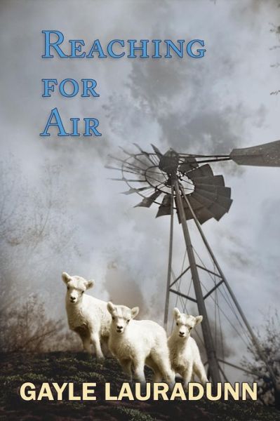 Cover for Gayle Lauradunn · Reaching for Air (Paperback Book) (2014)