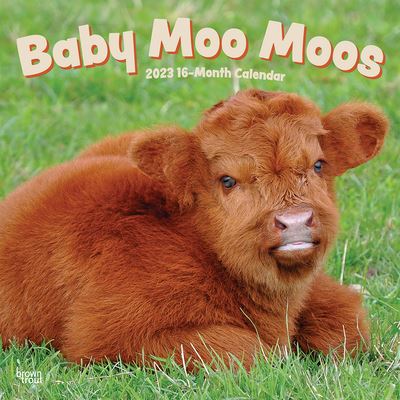 Cover for Browntrout · Baby Moo Moos 2023 Square (Calendar) (2022)