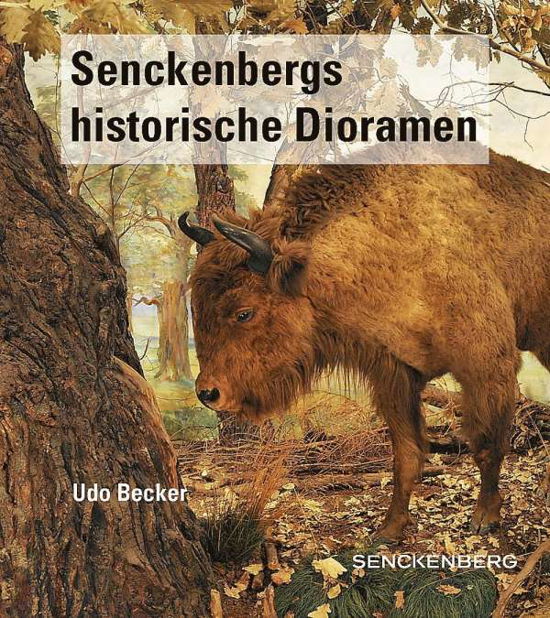 Cover for Becker · Senckenbergs historische Diorame (N/A)