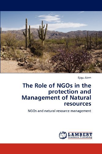 Cover for Ejigu Alem · The Role of Ngos in the Protection and Management of Natural Resources: Ngos and Natural Resource Management (Paperback Book) (2012)
