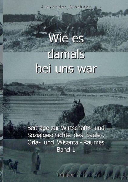 Cover for Blöthner · Wie es damals bei uns war - Ei (Bog) (2019)