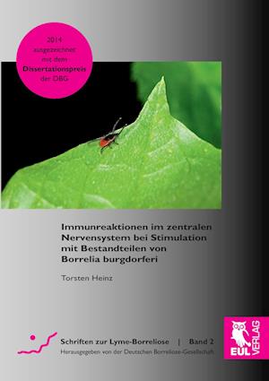 Cover for Torsten Heinz · Immunreaktionen im zentralen Nervensystem bei Stimulation mit Bestandteilen von Borrelia burgdorferi (Paperback Book) (2015)