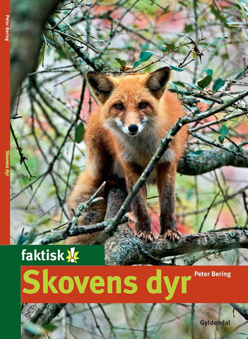 Cover for Peter Bering · Faktisk!: Skovens dyr (Sewn Spine Book) [1st edition] (2010)