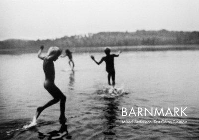 Cover for Mikael Andersson · Barnmark (Indbundet Bog) (2011)