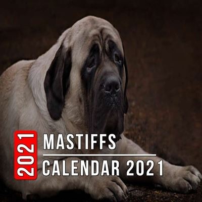 Cover for Beth Thomas · Mastiffs Calendar 2021: 12-month mini Calendar from Jan 2021 to Dec 2021, Cute Gift Idea For Mastiffs Lovers Or Owners Men And Women - Pictures in Every Month (Paperback Book) (2021)