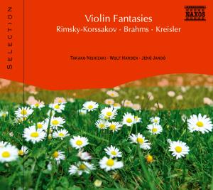 Violin Fantasies - V/A - Musik - NAXOS - 0747313109173 - 20. februar 2012