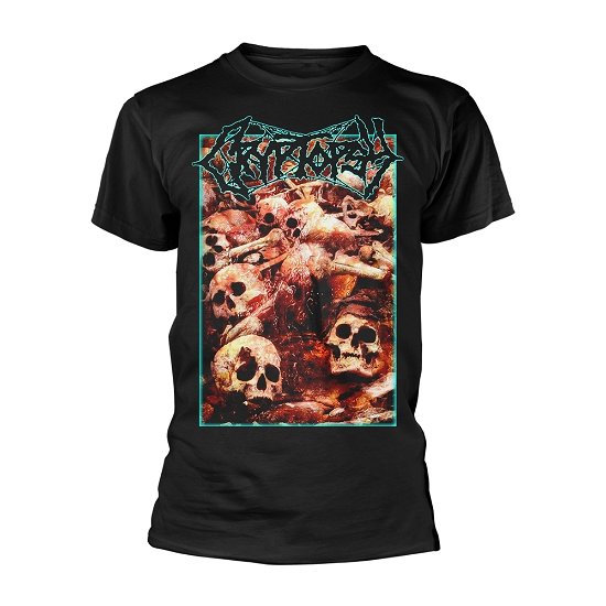 Cover for Cryptopsy · I Belong in the Grave (MERCH) [size L] [Black edition] (2021)