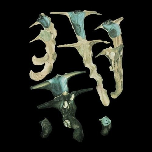 Cover for Rainforest Spiritual Enslavement · Jellyfish Reproduce Black Magic (LP) (2021)