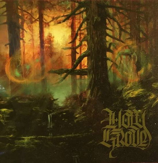 Cover for Holy Grove · Holy Grove Ii (LP) (2018)