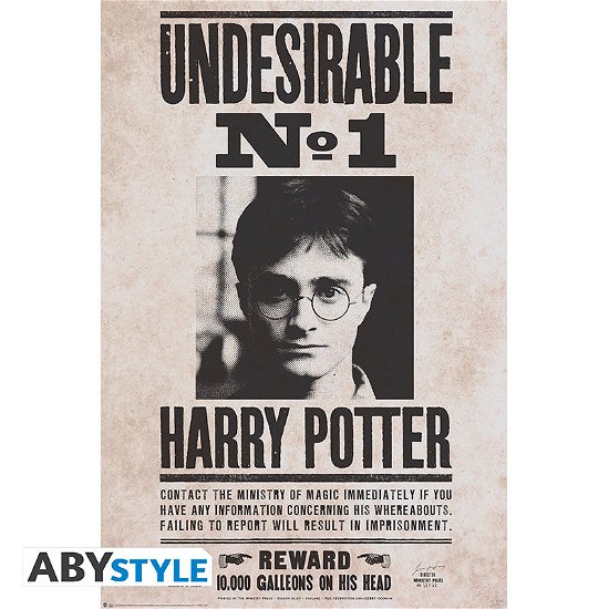 Cover for Großes Poster · HARRY POTTER - Poster « Undesirable n°1 » (91.5x61 (MERCH) (2019)