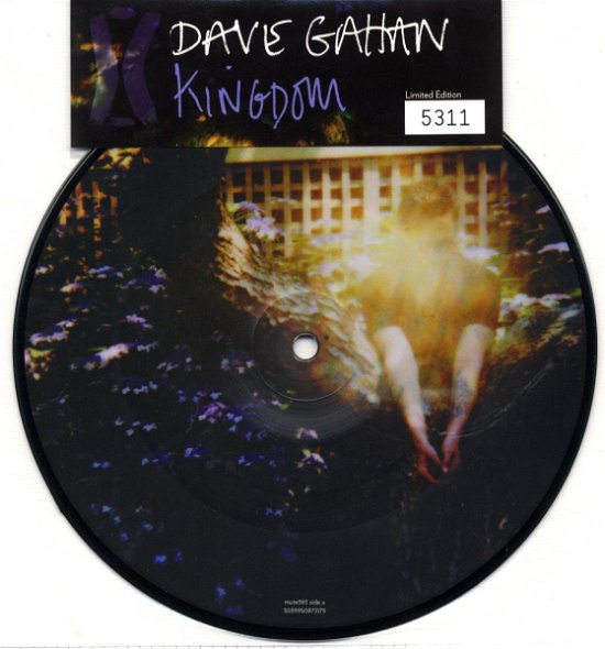 Cover for Dave Gahan · Kingdom (7&quot;) [Picture Disc edition] (2010)