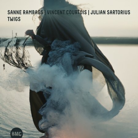 Cover for Sanne Rambags &amp; Vincent Courtois &amp; Julian Sartorius · Twigs (CD) (2023)