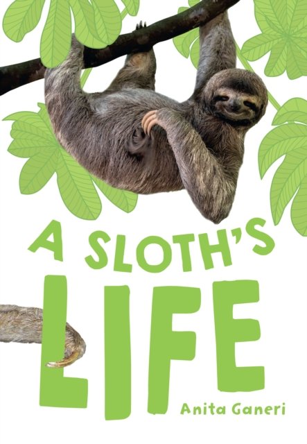 Cover for Anita Ganeri · A Sloth's Life - Big Cat for Little Wandle Fluency (Pocketbok) (2024)