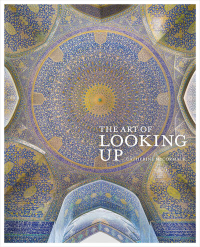 Cover for Catherine McCormack · The Art of Looking Up (Hardcover Book) (2019)