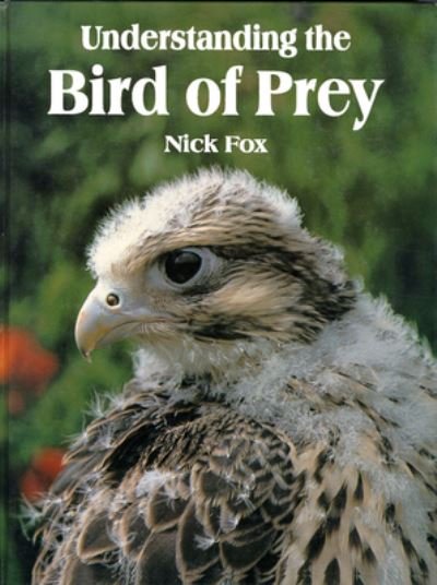 Cover for Nic Fox · Understanding the Bird of Prey (Hardcover Book) (2018)