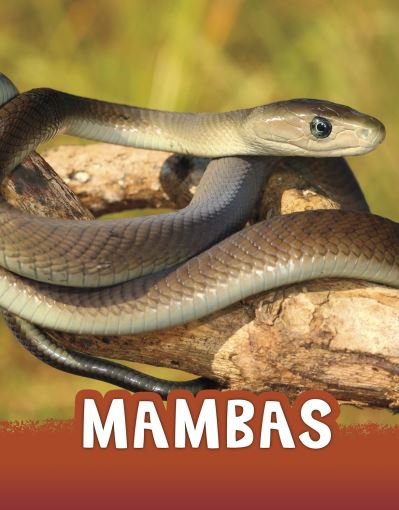 Cover for Jaclyn Jaycox · Mambas - Animals (Hardcover Book) (2021)