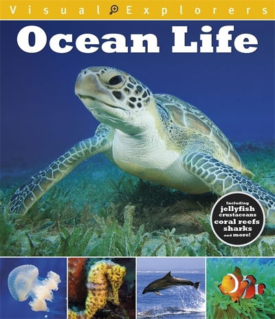 Cover for Paul Calver · Visual Explorers: Ocean Life - Visual Explorers (Paperback Book) (2019)