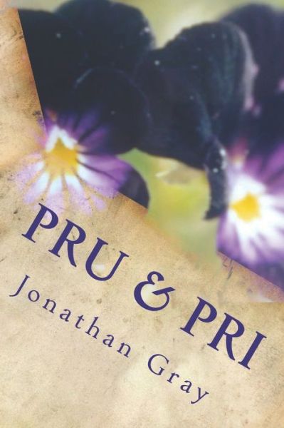 Cover for Gray, Professor Jonathan, Dds (University of Wisconsin Madison) · Pru &amp; Pri: The men don't know who the women are. This complicates their love lives. (Paperback Bog) (2013)